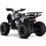 [:ru]Квадроцикл SHARMAX Cross 180 RX[:]
