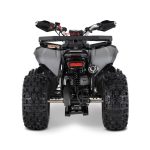 [:ru]Квадроцикл SHARMAX Cross 180 RX[:]