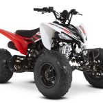 Квадроцикл SHARMAX Raizer Race Cup 250