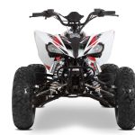 Квадроцикл SHARMAX Raizer Race Cup 250