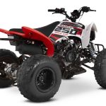 Квадроцикл SHARMAX Raizer Race Cup 250