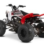 Квадроцикл SHARMAX Raizer Race Cup 250