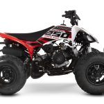 Квадроцикл SHARMAX Raizer Race Cup 250