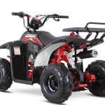 [:ru]Квадроцикл SHARMAX 130 Cross[:]
