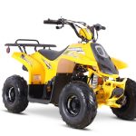 [:ru]Квадроцикл SHARMAX 130 Cross[:]