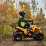 [:ru]Квадроцикл SHARMAX 130 Cross[:]