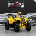 [:ru]Квадроцикл SHARMAX 130 Cross[:]