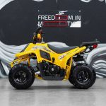 [:ru]Квадроцикл SHARMAX 130 Cross[:]