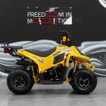 [:ru]Квадроцикл SHARMAX 130 Cross[:]