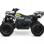 [:ru]Квадроцикл SHARMAX 300 RX Activator[:]