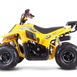 [:ru]Квадроцикл SHARMAX 130 Cross[:]