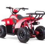 [:ru]Квадроцикл SHARMAX 130 Cross[:]