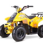 [:ru]Квадроцикл SHARMAX 130 Cross[:]