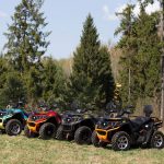 Квадроцикл РМ 800 DUO EPS (ПСМ)