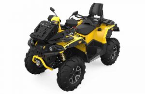 Квадроцикл STELS ATV 1000G Guepard Trophy EPS 2.0 (ПСМ)