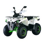 Квадроцикл MIKILON Hammer 200L Pro-R