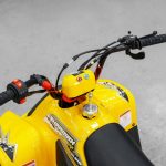 [:ru]Квадроцикл SHARMAX 130 Cross[:]