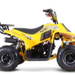 [:ru]Квадроцикл SHARMAX 130 Cross[:]