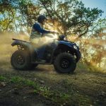 Квадроцикл KAWASAKI Brute Force 450 4x4 (2025)