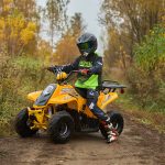 [:ru]Квадроцикл SHARMAX 130 Cross[:]