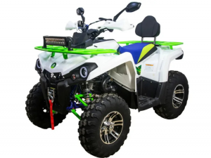Квадроцикл AVANTIS Forester 200