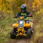 [:ru]Квадроцикл SHARMAX 130 Cross[:]