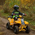 [:ru]Квадроцикл SHARMAX 130 Cross[:]